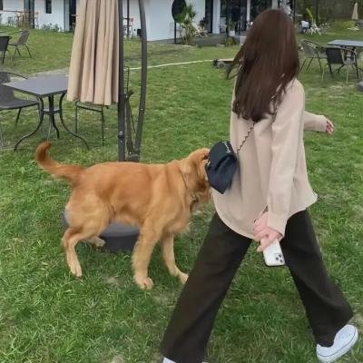这!就是街舞第六季